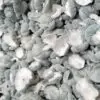 psilocybe cubensis spore swabs