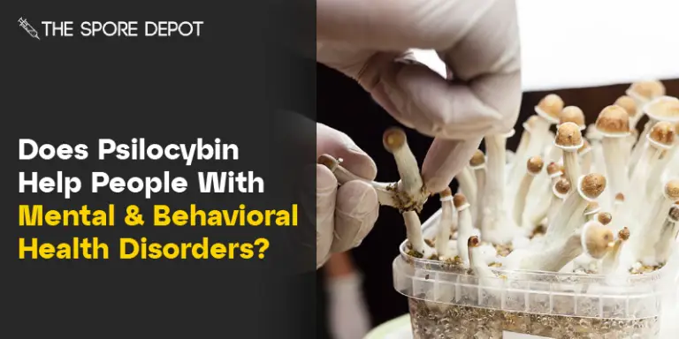 Does Psilocybin Help People With Mental & Behavioral Health Disorders