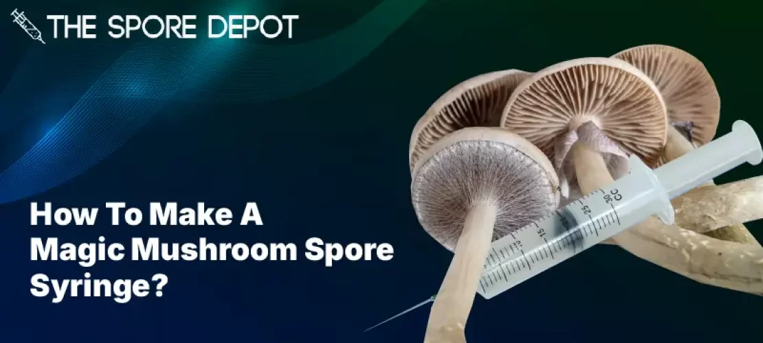 How To Make A Magic Mushroom Spore Syringe